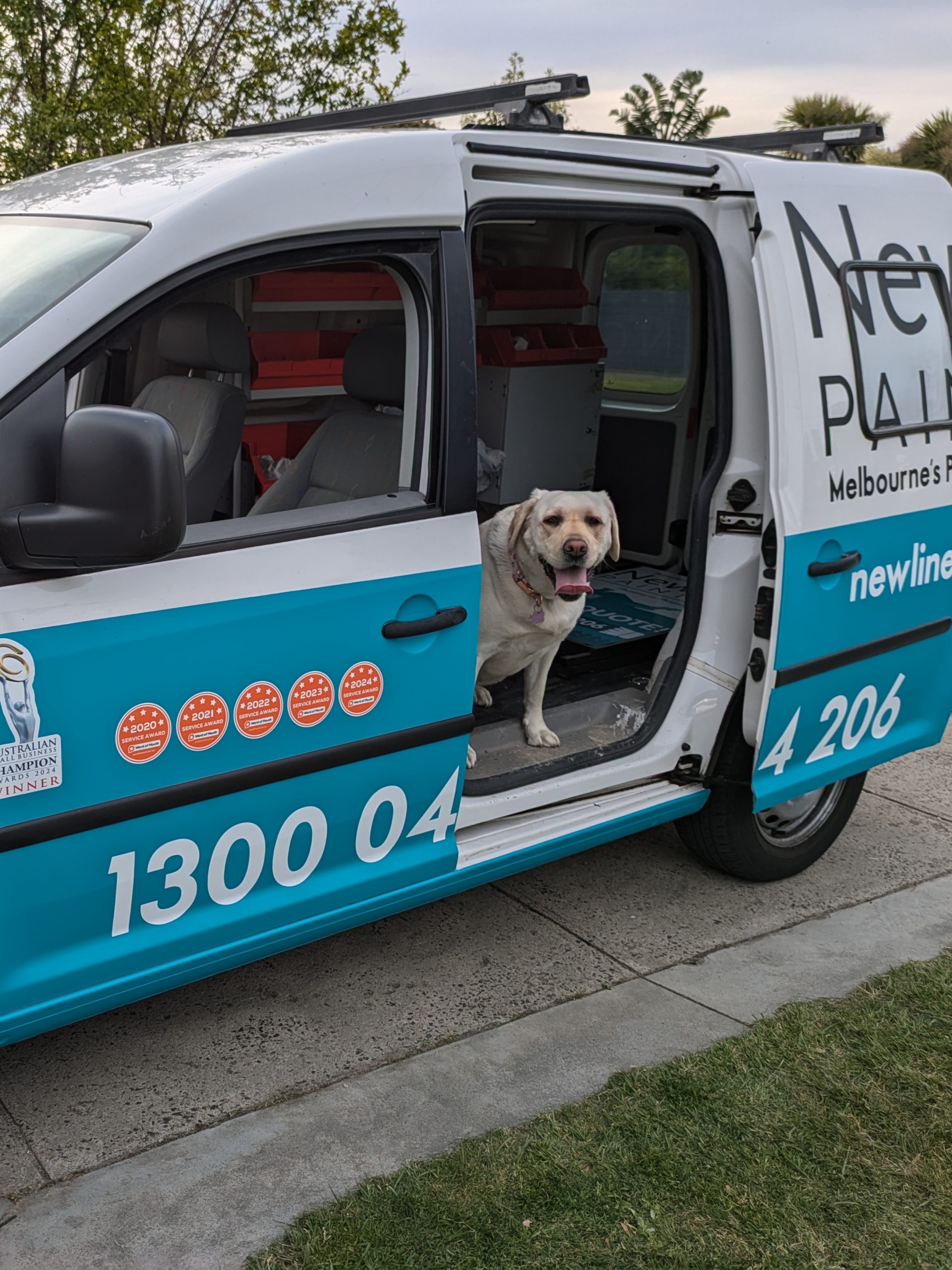 Dog standing inside a service van with the business logo visible on the side.
