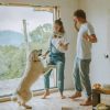 Couple playing with their dog during a home renovation project.