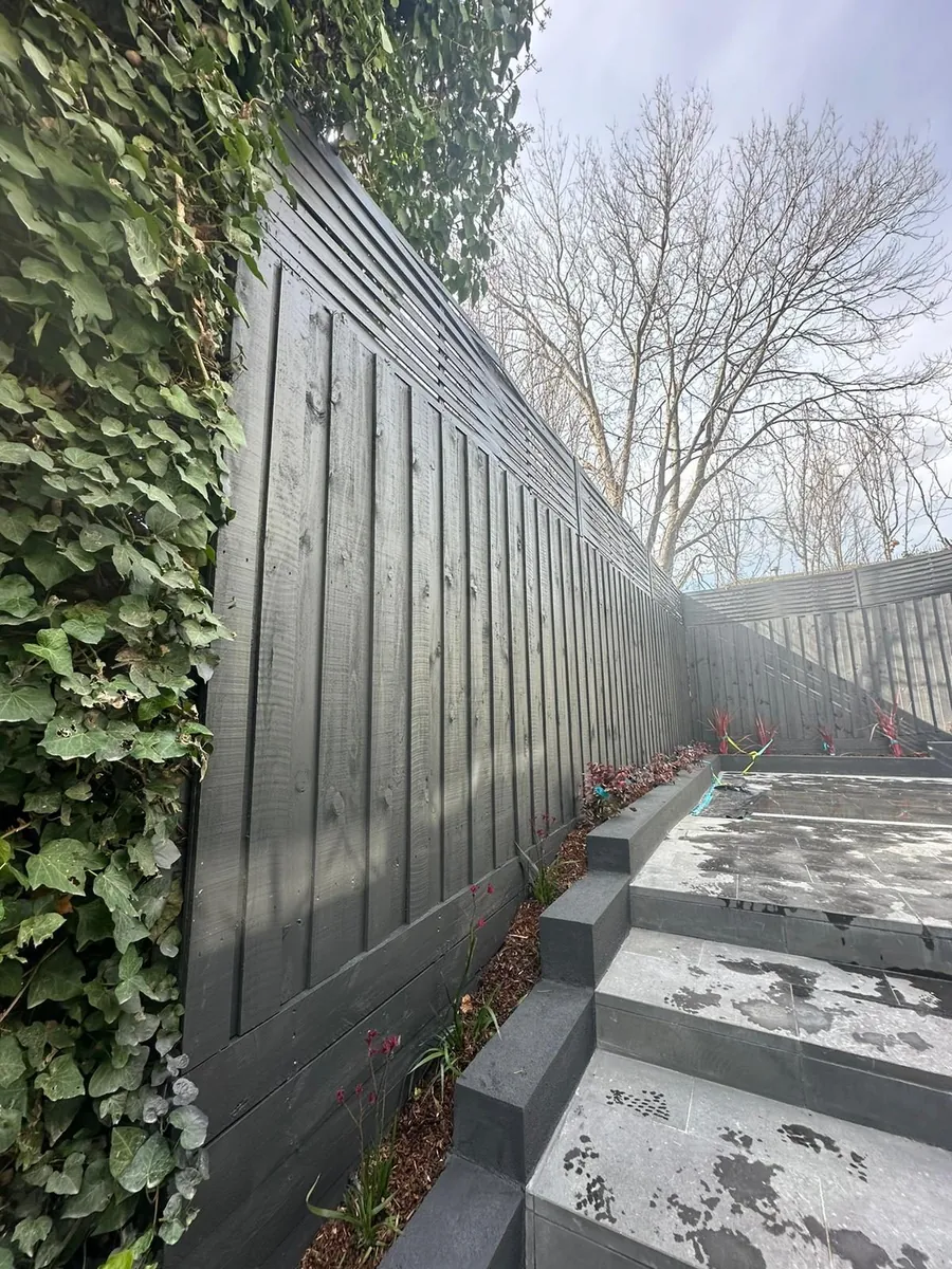 Fence Painting