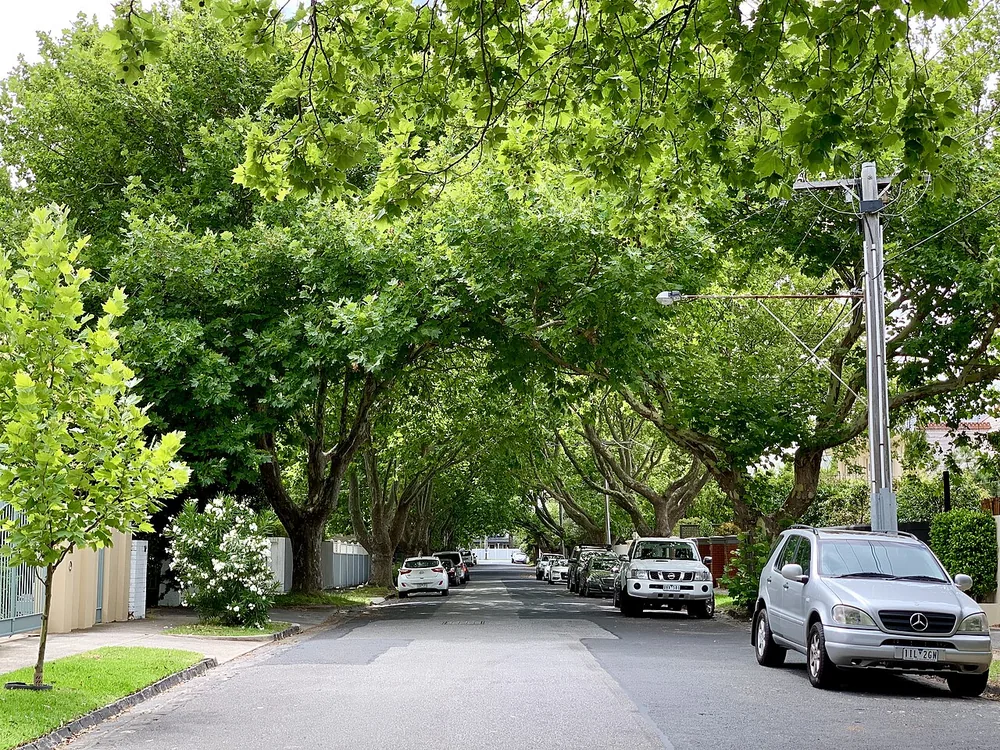 A residential street in Brighton